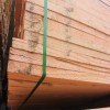 铁杉原料板材实木门芯板无节板材