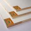 平安树板材EO级环保17mm生态板免漆板双贴面杉木芯细木工板实木