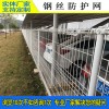 珠海护栏网厂家 学校围栏防爬网 汕头浸塑双圈隔离网 绿化围网